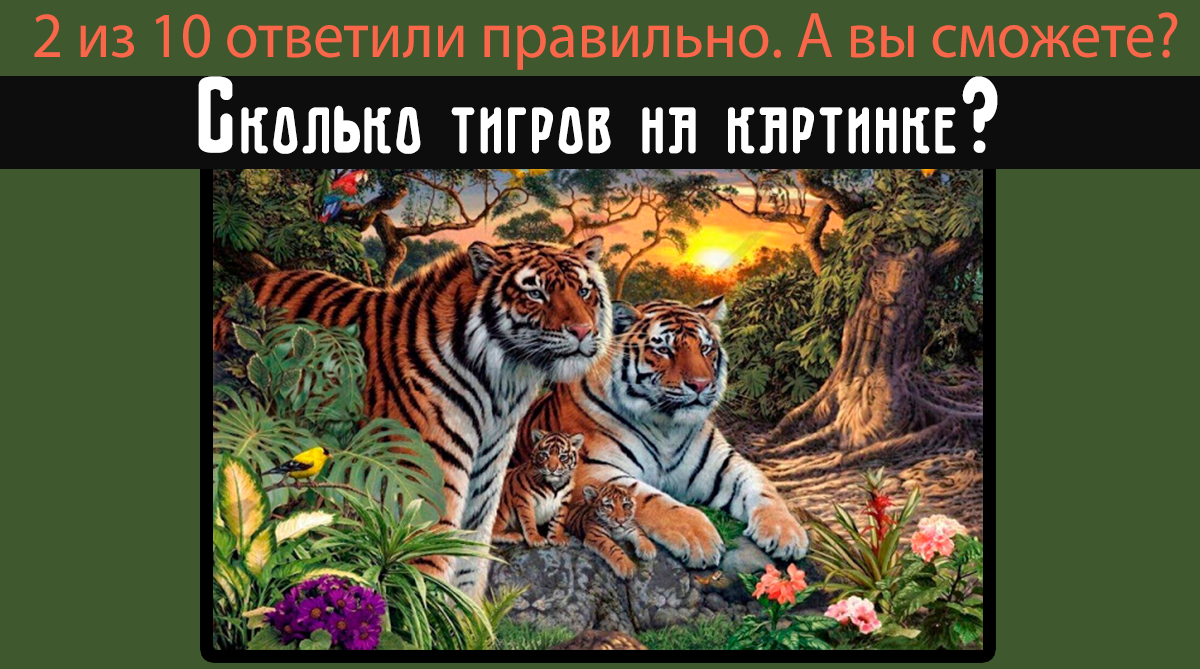 Сколько львов на картинке правильный ответ