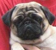 Подборка интересных и веселых картинок 14.07.19 курьезы,приколы,юмор