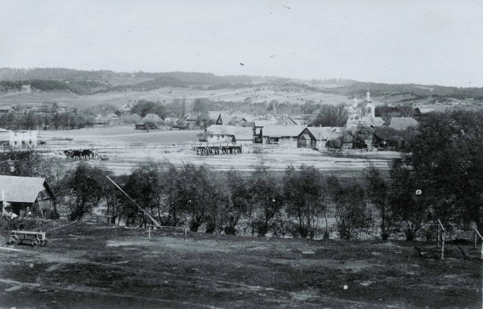 Панорама небольшого городка в июле 1916 года. 