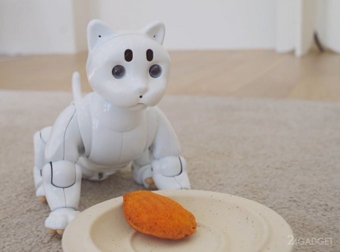 Представлена робот-кошка с интеллектом, способная читать человеческие эмоции