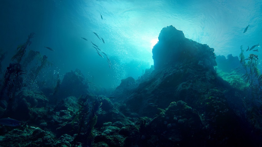Гигантское гидротермальное поле обнаружили в глубинах Тихого океана