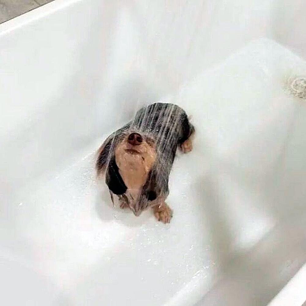 Очаровательные малыши: подборка самых милых фотографий детенышей животных