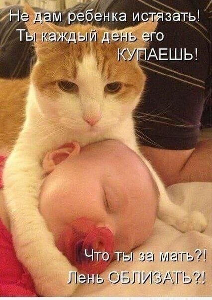 Что такое сила тока? Это когда ума нет, а есть тока сила Что такое сила тока? Это когда ума нет, а есть тока сила анекдоты,веселые картинки,приколы,юмор
