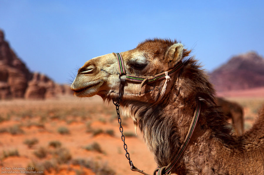 Лунная долина в Иордании Лунная долина в Иордании путешествия, иордания