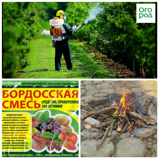 лечение бактериального ожога