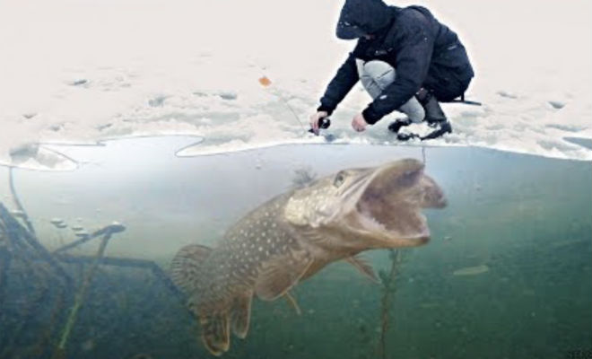 Камера погрузилась под воду Чернобыльской реки