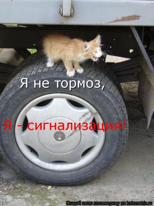 Мысли вслух :)