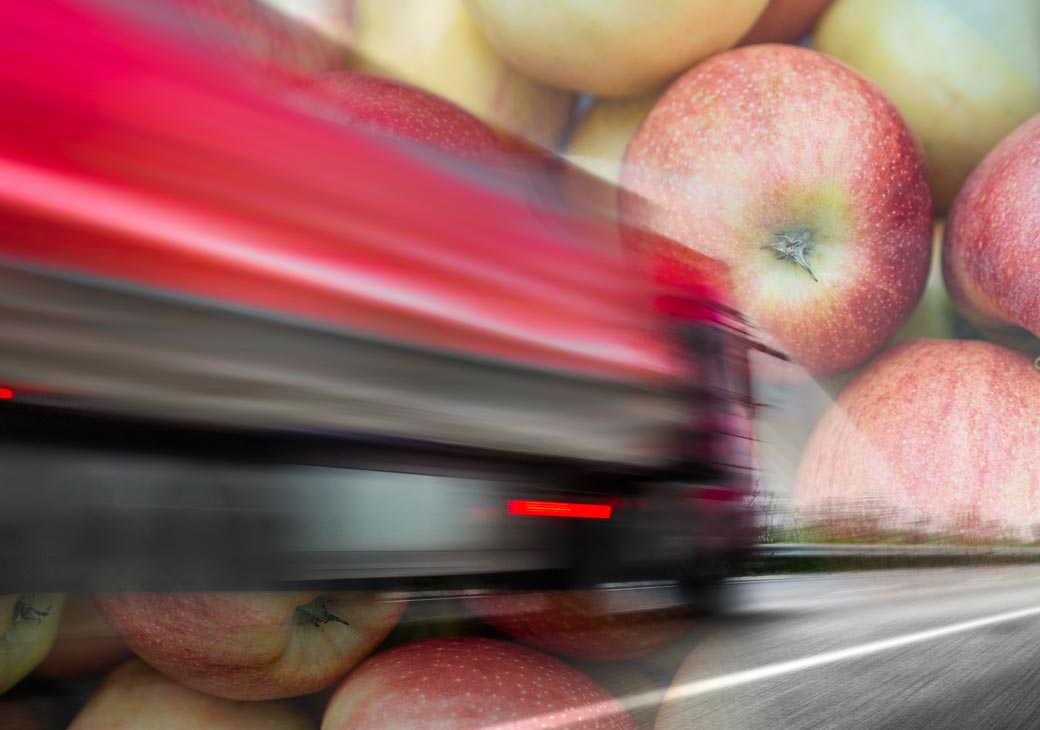 Яблоки спас… автотранспорт вместо РЖД. Репортаж Vgudok из брянских лесов, где в чаще раскинулись сады со сладкими яблоками, которых ждут на Дальнем Востоке
