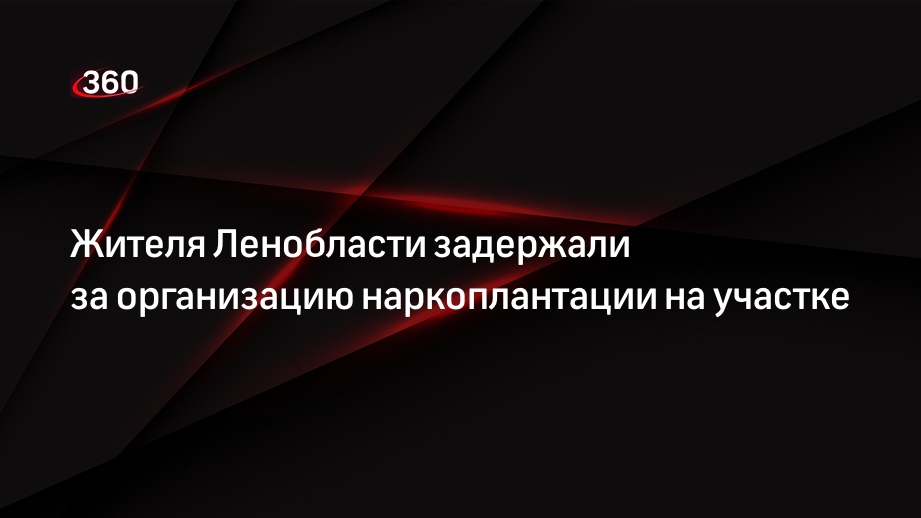 Жителя Ленобласти задержали за организацию наркоплантации на участке