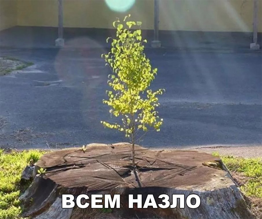 Прикольные и забавные фотографии с надписями для улыбки и позитива Прикольные и забавные фотографии с надписями для улыбки и позитива