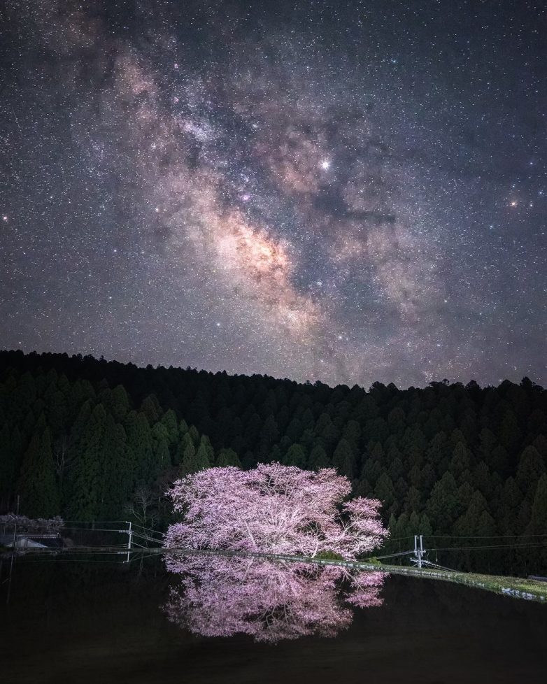 Япония: страна, которой невозможно налюбоваться Япония: страна, которой невозможно налюбоваться мир,страны,туризм,япония