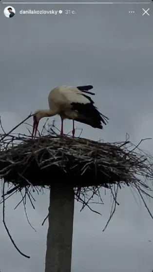 Данила Козловский косвенно подтвердил беременность Оксаны Акиньшиной Козловский, Оксана, Данила, видео, момент, Акиньшина, Козловского, Данилы, Оксаны, время, Акиньшиной, Чернобыль, которая, Зуевой, снятом, Ольгой, отношениях, посещения, фильма, звёздной
