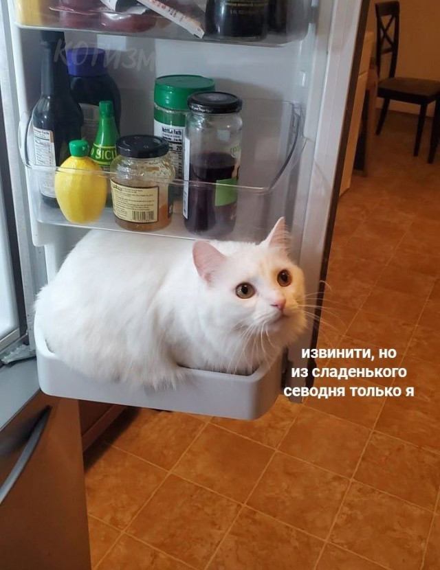 Долбаные холода. Скорее бы жара долбаная! 