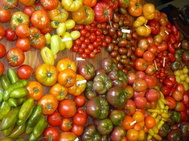 rsz_heirloom-tomatoes-6