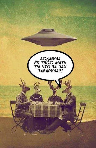 Новые фотомемы на Бугаге (23 шт)