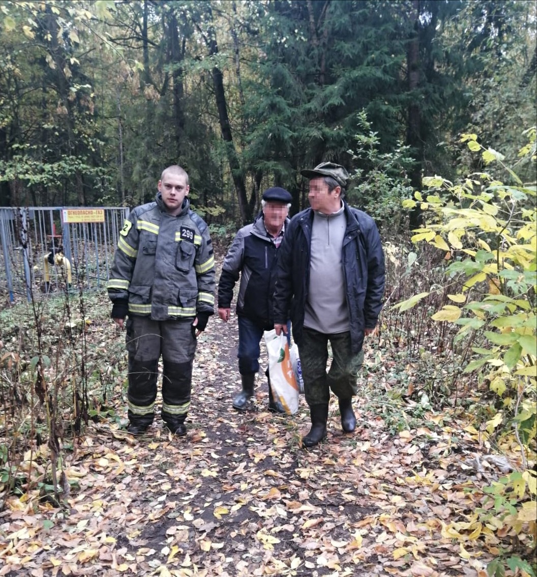 В Подмосковье за один день спасатели вывели из леса 11 заблудившихся грибников