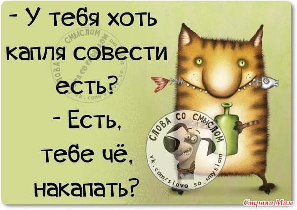 Диванные истины Диванные истины демотиваторы,юмор