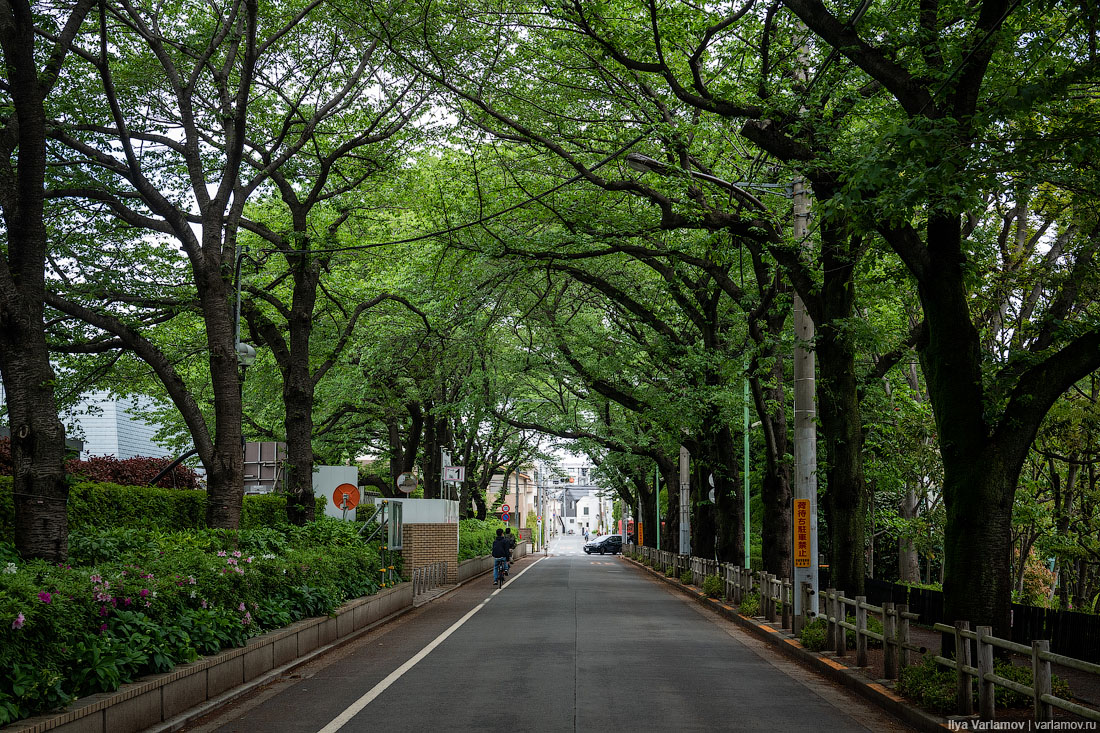 Что японцы делают с мусором Что японцы делают с мусором городская среда, интересное, мусор, парк, путешествия, токио, япония