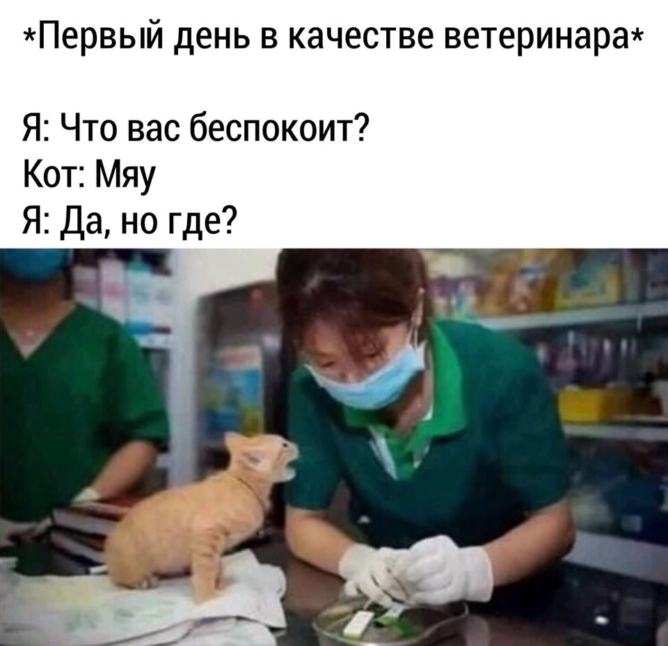 Студент шлет домой маме телеграмму: 