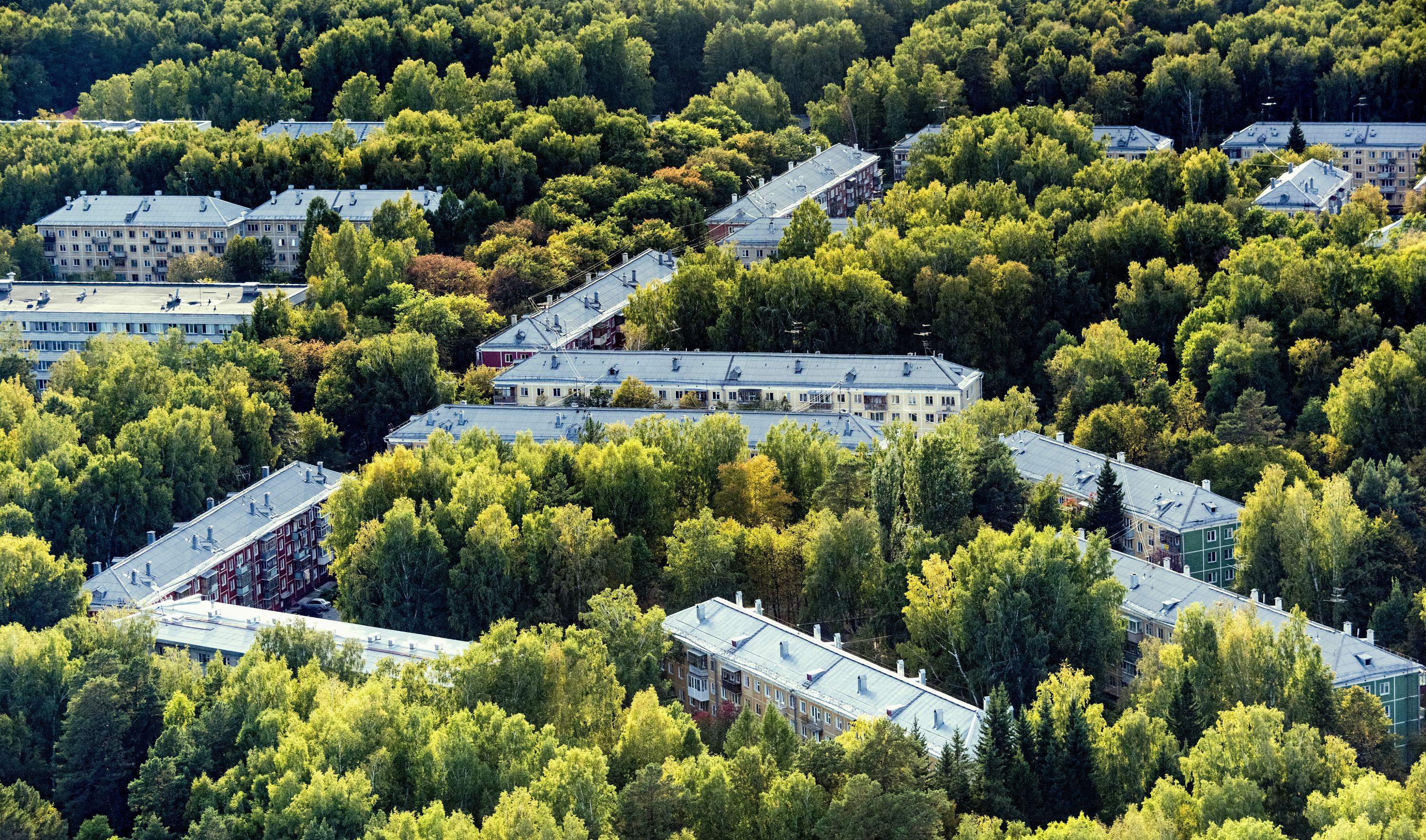 Погода в новосибирском академгородке. Новосибирский Академгородок. Новосибирск научный городок. Лес Академгородка Новосибирск. Академгородок Новосибирск лето.