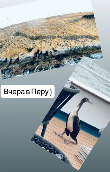 Ксения Собчак, Оксана Самойлова, Ирина и Борис Зарьковы, Борис Белоцерковский путешествуют по Латинской Америке Борис, Собчак, Ксения, Оксаны, СамойловаОксана, Оксана, Самойлова, Белоцерковский, укачивает, время, RendezVous, после, Елена, рассказала, Николай, лайнере, Зарьковы, отправились, Латинской, Ирина