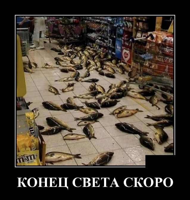 Подборка зачетных и веселых демотиваторов из нашей жизни Подборка зачетных и веселых демотиваторов из нашей жизни демотиваторы свежие,приколы,смешные демотиваторы,юмор