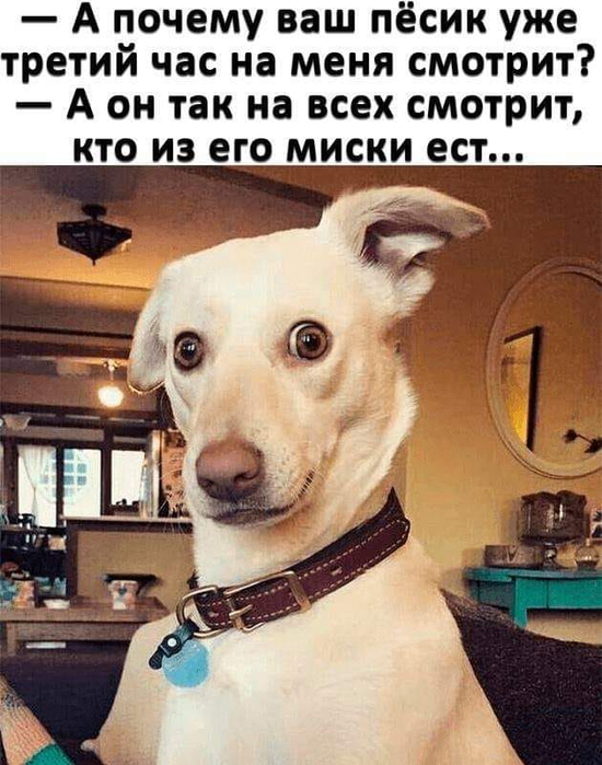 Свет мой, зеркальце... Молчи!