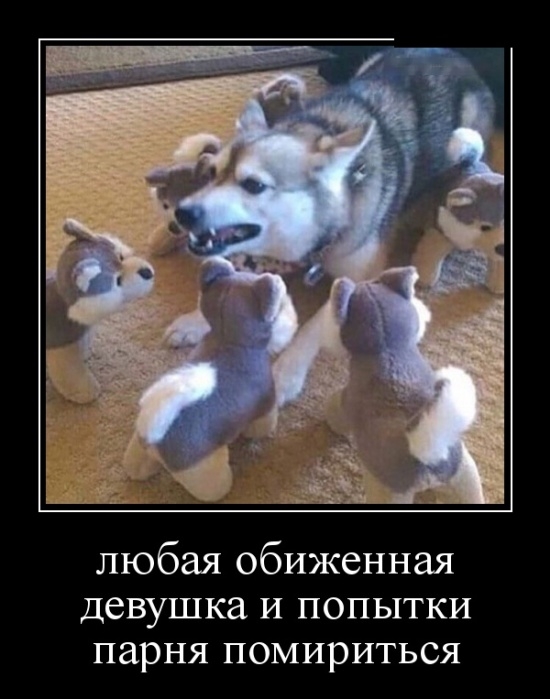 Демотиваторы 19 марта 2019 Демотиваторы 19 марта 2019