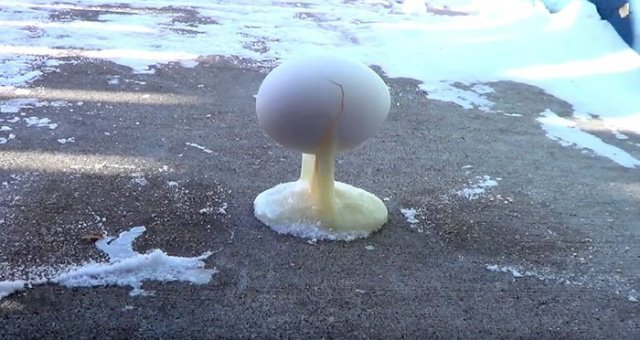 Фотоподборка четверга Фотоподборка четверга