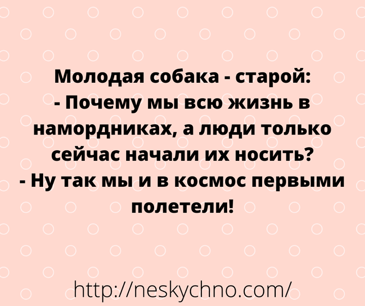 Много-много шуточек, юмора, веселых историй. Все для вашего блестящего настроения!