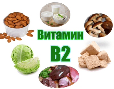 Витамин В2 в продуктах