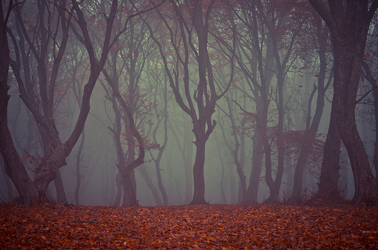 ТОП-6 самых страшных мест мира ТОП-6 самых страшных мест мира города