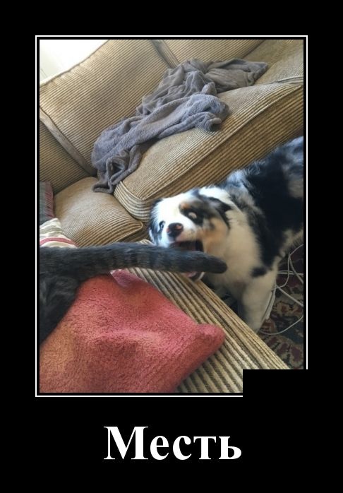 Подборка зачетных и веселых демотиваторов из нашей жизни Подборка зачетных и веселых демотиваторов из нашей жизни демотиваторы свежие,приколы,смешные демотиваторы,юмор