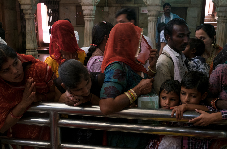 Крысиный рай: индийский храм, где поклоняются грызунам Крысиный рай: индийский храм, где поклоняются грызунам индия,история,крысы,культура индии,мир,страны