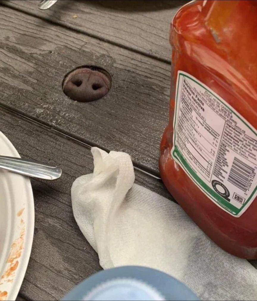 Смешная картинка 10