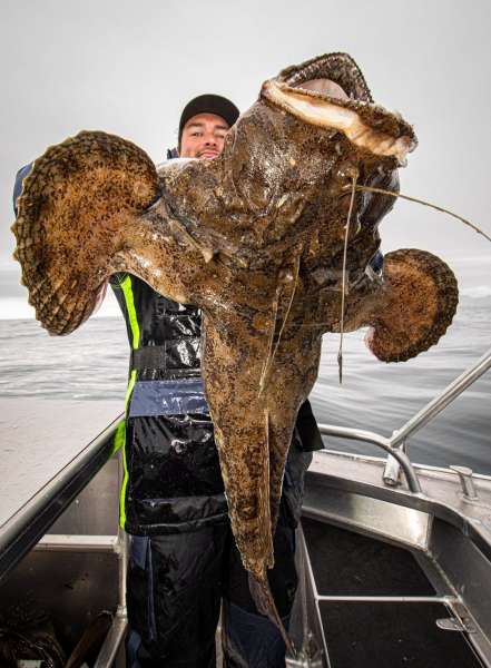 Странные существа из морских глубин, пойманные Романом Федорцовым
