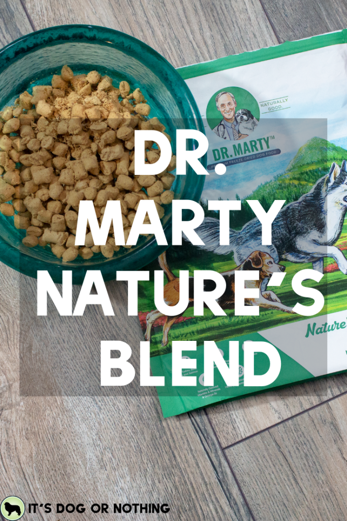 Great Pyrenees try Dr. Marty's freeze-dried raw dog food, Nature's Blend.