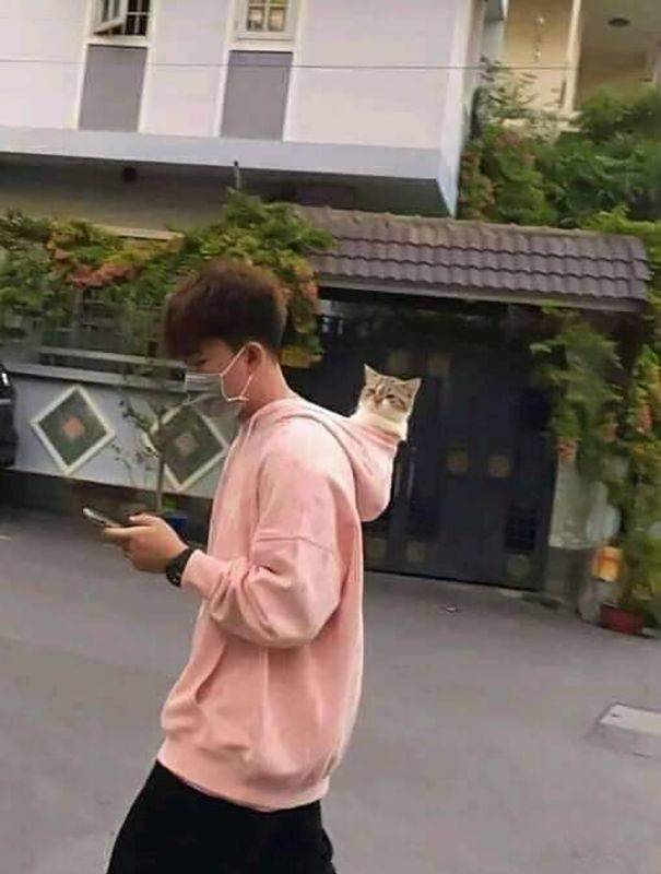 Подборка прикольных картинок Подборка прикольных картинок приколы,смешные картинки,юмор