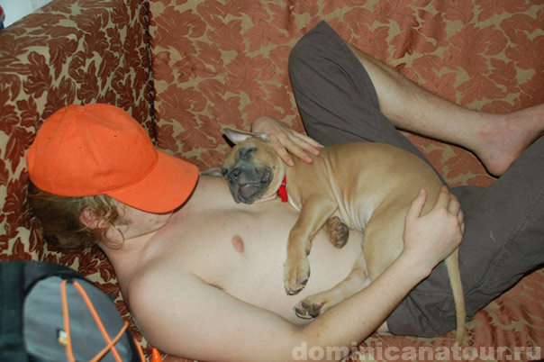 Билеты из Москвы в Доминикану