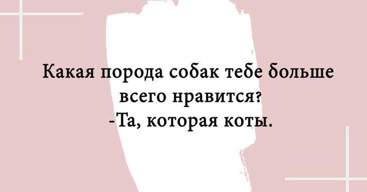 Картинки с прикольными шуточными надписями 