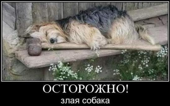 В пятницу подъезжаю к гипермаркету... В пятницу подъезжаю к гипермаркету...