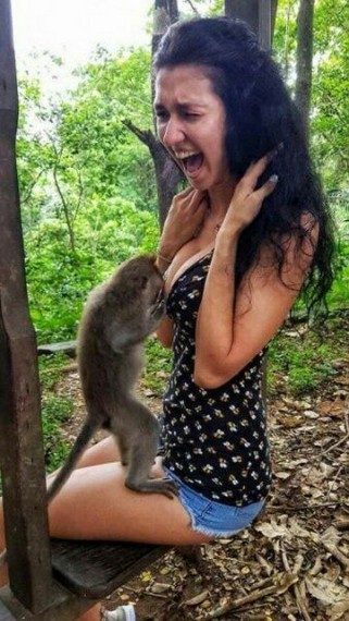 Мегапозитивная подборка дня Мегапозитивная подборка дня