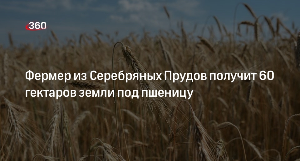 Фермер из Серебряных Прудов получит 60 гектаров земли под пшеницу