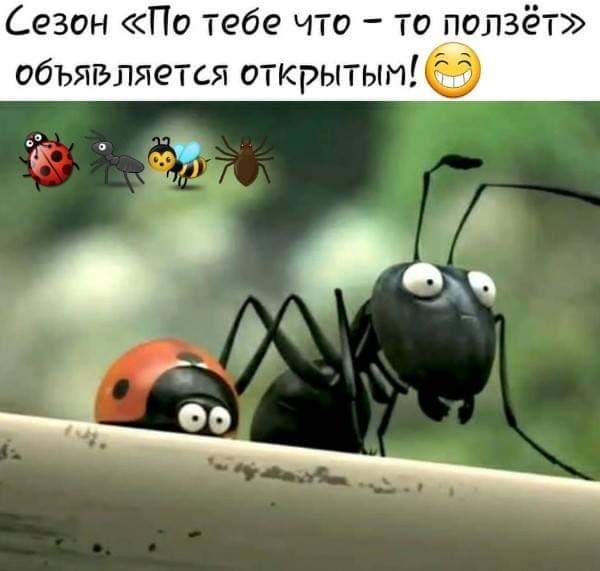 Новый русский приходит в туристическое агенство: - Я бы хотел побывать в Санта Барбаре... больше, опять, Извините, звонок, хочется, секретарша, рецепт, только, работаешь, берет, остальные, любой, отвечает, трубку, когда, время, Восток, сауну—, ведро, забрасывала