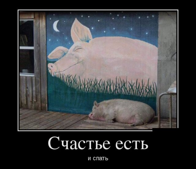 Подборка демотиваторов с черноватеньким юмором 