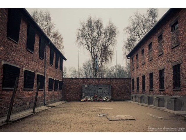 Музей в Освенциме напомнил про «юбилей» Клауберга, гинеколога из СС история