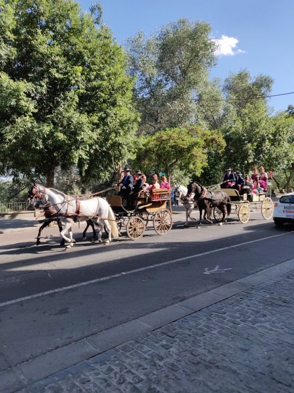 Путешествие по южной Испании на автомобиле Путешествие по южной Испании на автомобиле автомобили