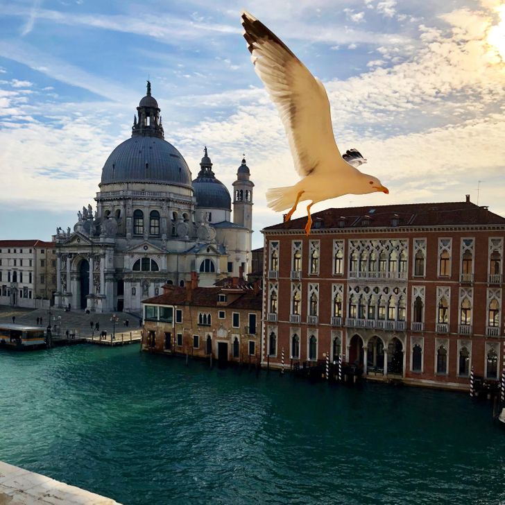 (Не)обычная Венеция «Когда, дорог, «Сфотографировал, в Венеции, «В городе, в Венеции», на яхте, вертолет, балкон», хочется, ну очень, одновременно», и красиво, и весело, ночью, затапливает, СанМарко, «Площадь, ретророботы», выглядят