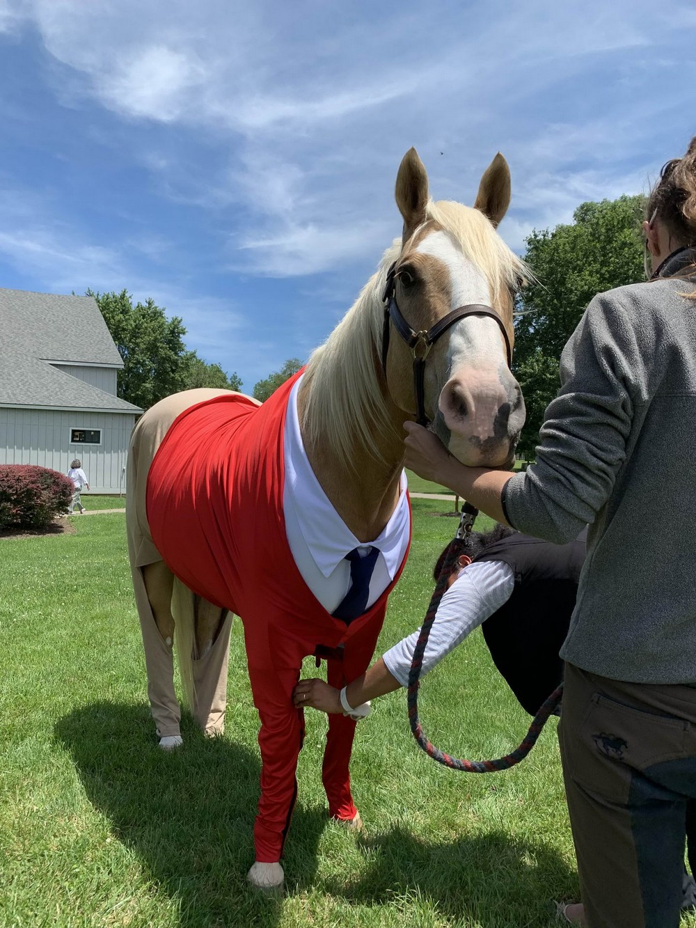 Подборка интересных и веселых картинок 14.07.19 курьезы,приколы,юмор