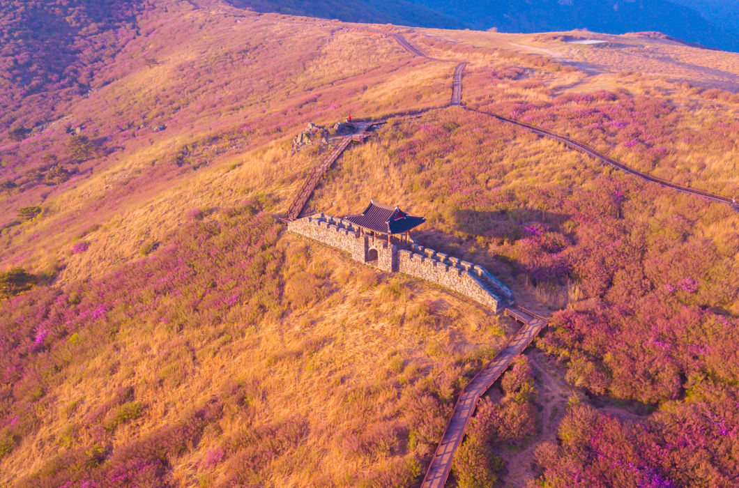 Южная Корея: фотопроект о стране утренней свежести